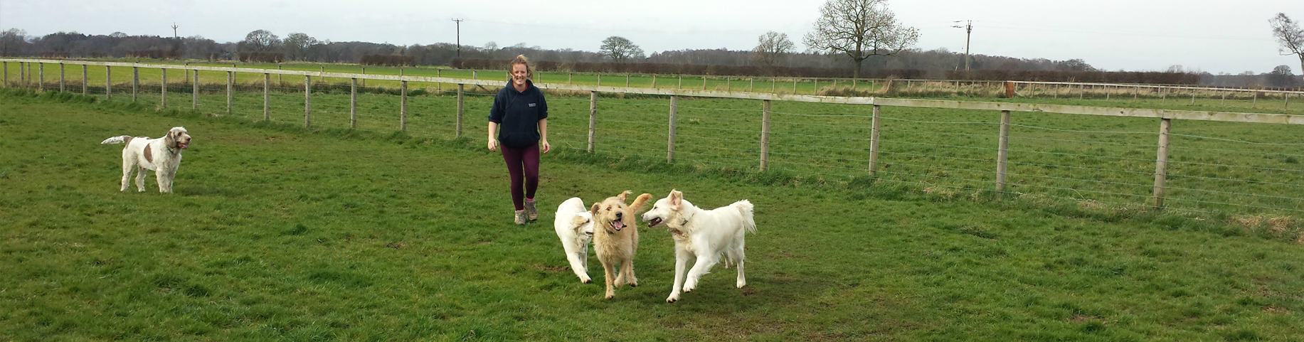 Derrings Kennels can accommodate any exercise routine your pet may need, call us for more information