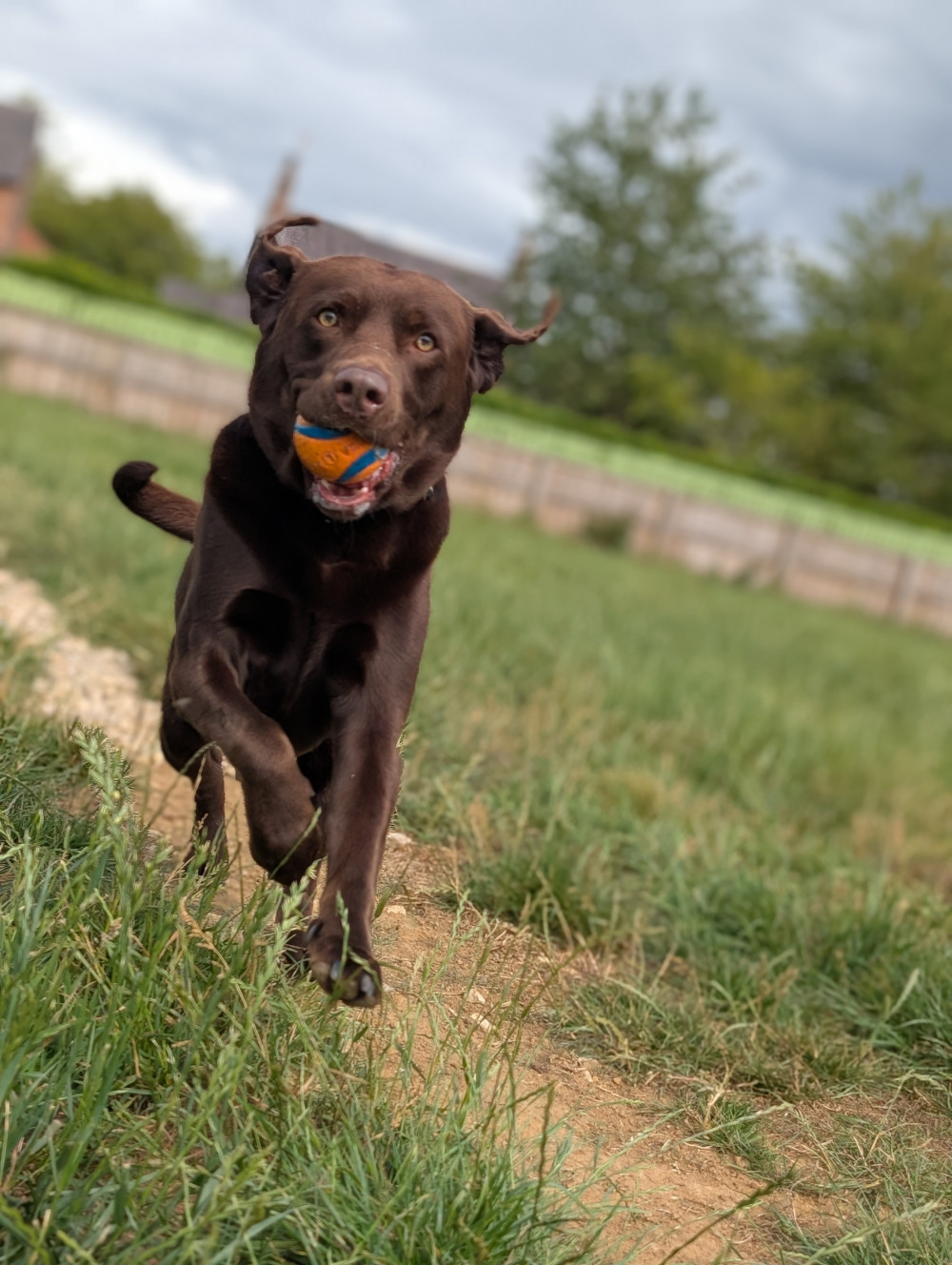 PXL 20250706 145949785 PORTRAIT