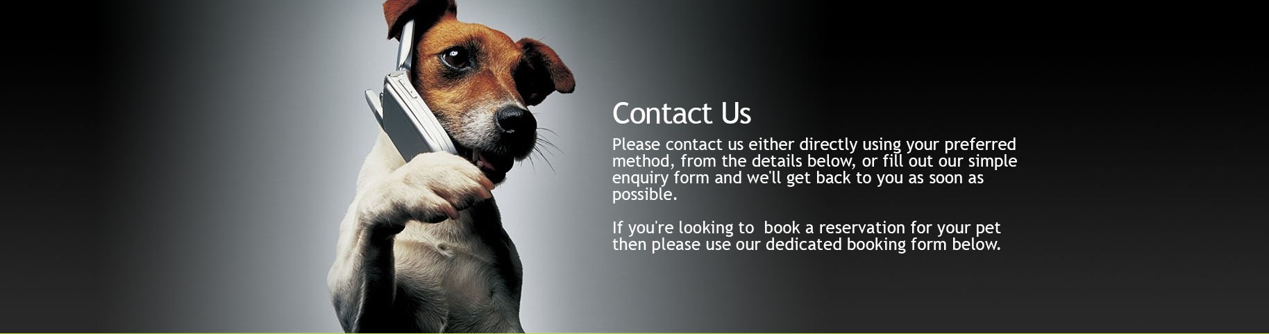 Get in touch with Derrings Kennels if you need any information or wish to book