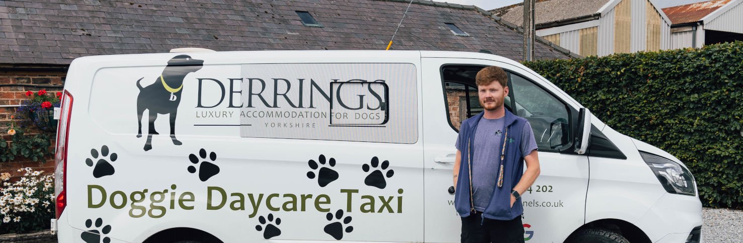 Doggy daycare banner