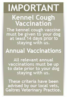 Ensure all your pet vaccinations are in order
