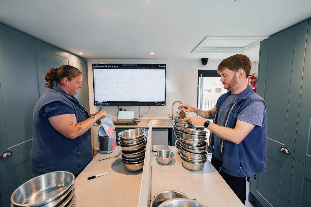 Relaxing on the terrace at Derrings Kennels